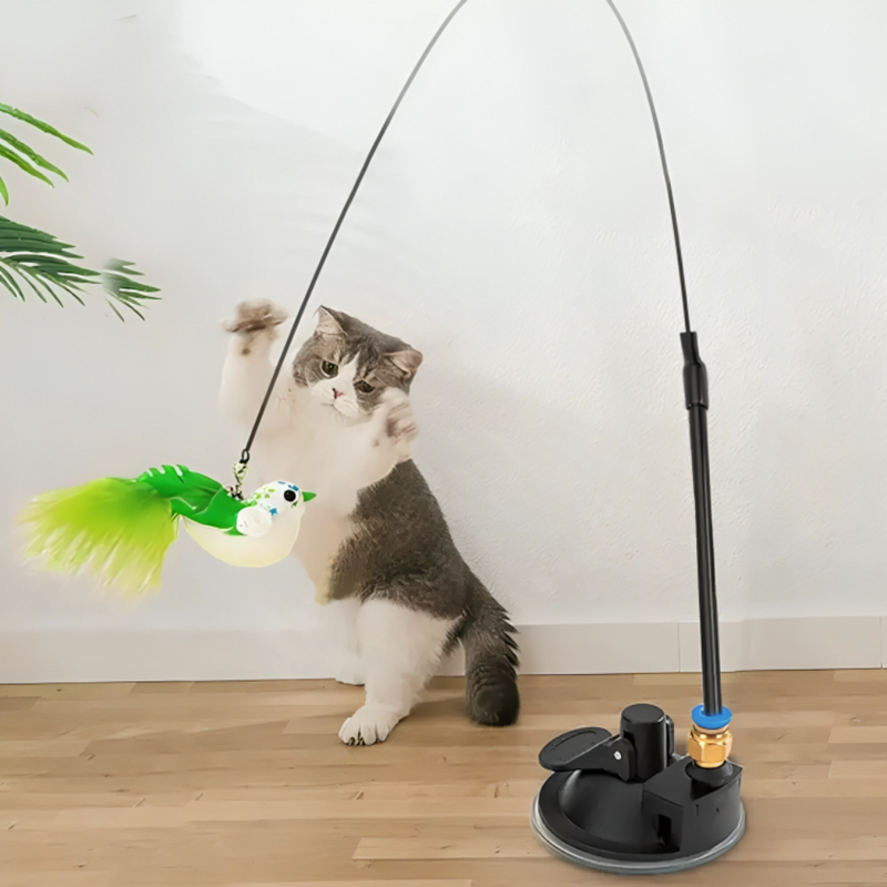 Interactive Bird Simulation Cat Toy