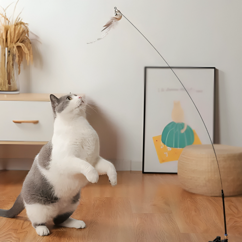 Interactive Bird Simulation Cat Toy