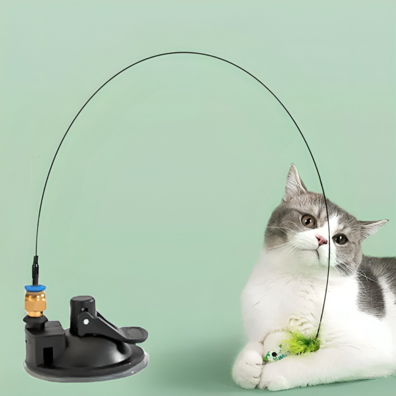 Interactive Bird Simulation Cat Toy