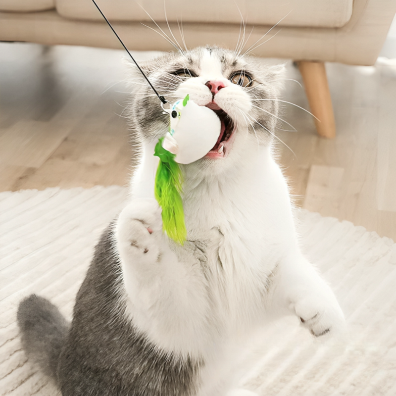 Interactive Bird Simulation Cat Toy