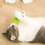 Interactive Bird Simulation Cat Toy